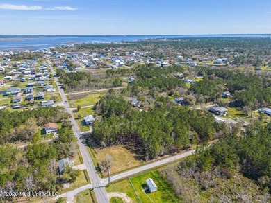 This large, beautiful cleared corner lot is perfectly situated - photo 11
