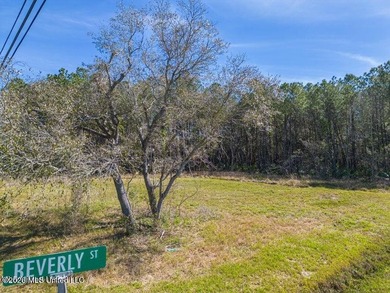 This large, beautiful cleared corner lot is perfectly situated - photo 12