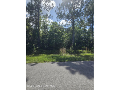 Build your home on an amazing 1 acre lot in Rambling Acres West! - photo 3