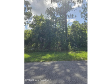Build your home on an amazing 1 acre lot in Rambling Acres West! - photo 9