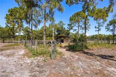 Escape to the peace and privacy of country living with this - photo 43