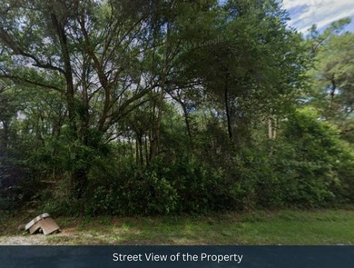 Build your dream home or invest in future development on this - photo 8