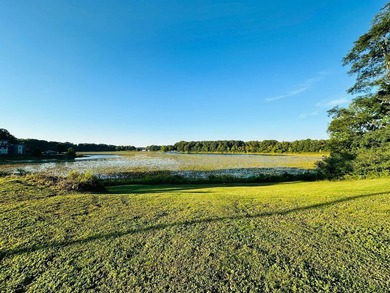 Seller says Make an Offer on this WATERFRONT Lot! Here is your - photo 16
