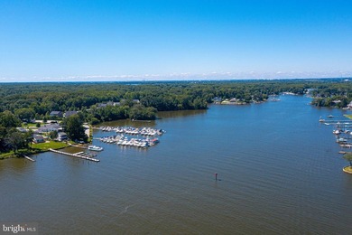 Extremely Rare Opportunity! 110' +/- Water frontage sitting on - photo 18