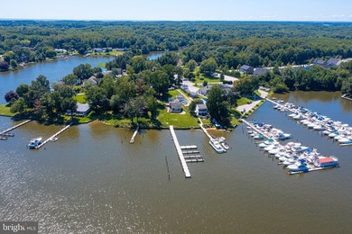 Extremely Rare Opportunity! 110' +/- Water frontage sitting on - photo 20