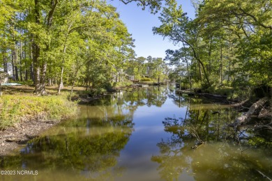 Lake Lot For Sale in Oriental, North Carolina