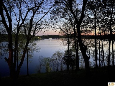 Experience luxury lake living at its finest in this stunning - photo 41
