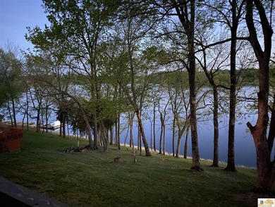 Experience luxury lake living at its finest in this stunning - photo 42