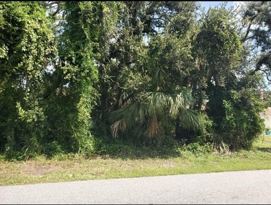 Residential building lot available for you to build your dream - photo 4
