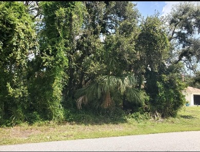 Residential building lot available for you to build your dream - photo 5