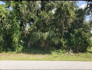 Residential building lot available for you to build your dream - photo 8