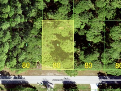 Port Charlotte Waterway Area Lot For Sale in Port Charlotte Florida