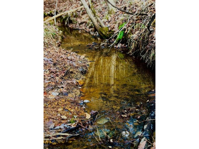 (private lake, pond, coastal) Acreage For Sale in Center Texas