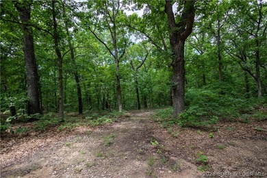 Beautiful 30 +/- acre property just minutes from Lake Ozark! The - photo 26