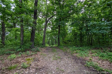 Beautiful 30 +/- acre property just minutes from Lake Ozark! The - photo 27