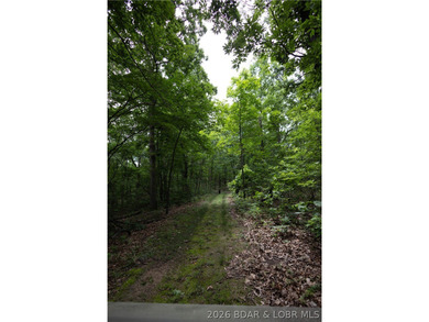Beautiful 30 +/- acre property just minutes from Lake Ozark! The - photo 28