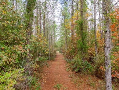 Lake Acreage For Sale in Tallahassee, Florida