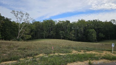 (private lake, pond, creek) Lot For Sale in Ona West Virginia