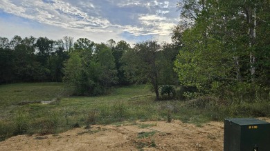 (private lake, pond, creek) Lot For Sale in Ona West Virginia