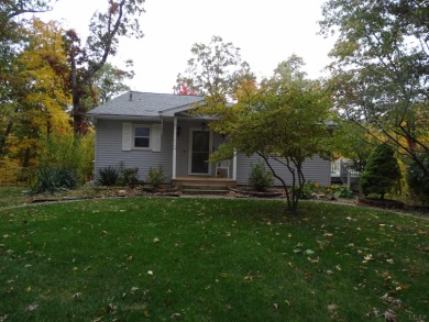 Swains Lake Home For Sale in Concord Michigan