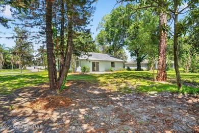 Set on an oversized .46-acre lot with mature trees, this - photo 26