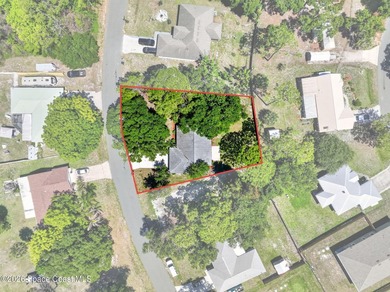 Set on an oversized .46-acre lot with mature trees, this - photo 28