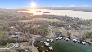 Lake Lot For Sale in Langston, Alabama