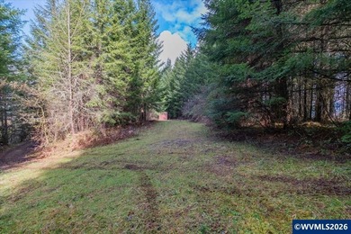 34.45 acres of fenced & cross-fenced pasture & 15 - 30 year old - photo 34