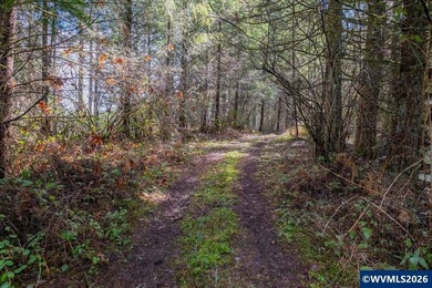 34.45 acres of fenced & cross-fenced pasture & 15 - 30 year old - photo 35