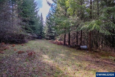 34.45 acres of fenced & cross-fenced pasture & 15 - 30 year old - photo 37