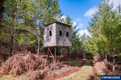 34.45 acres of fenced & cross-fenced pasture & 15 - 30 year old - photo 39