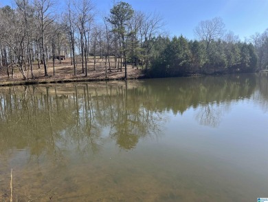 Lake Acreage For Sale in Roanoke, Alabama