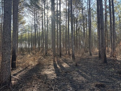 This 86.44 surveyed-acre property offers an excellent blend of - photo 6