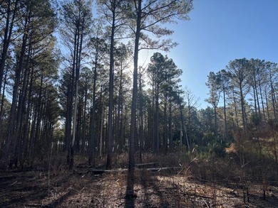 This 86.44 surveyed-acre property offers an excellent blend of - photo 8