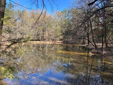 This 86.44 surveyed-acre property offers an excellent blend of - photo 9