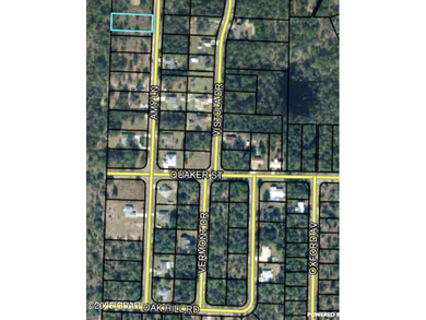 Boat Lake Lot For Sale in Chipley Florida