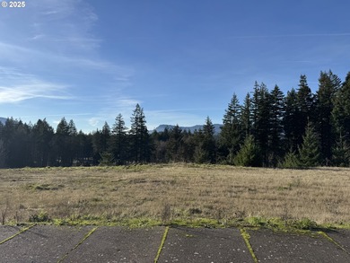 Columbia River - Hood County Lot For Sale in Cascadelocks Oregon