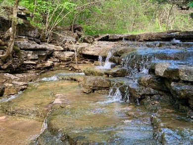 This spectacular lakefront gem near Shell Knob and Emerald Beach - photo 2