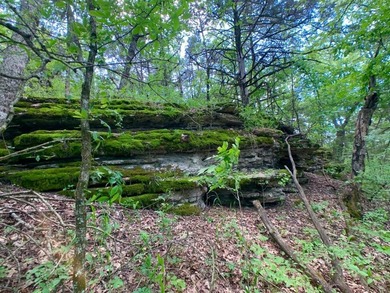 This spectacular lakefront gem near Shell Knob and Emerald Beach - photo 4
