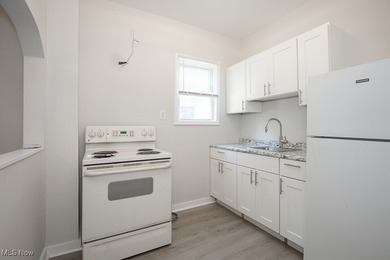 Welcome to 4915 Tillman Ave in Cleveland's Detroit-Shoreway! - photo 6