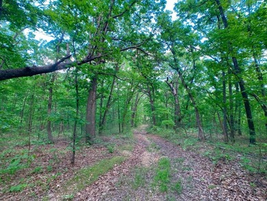 This spectacular lakefront gem near Shell Knob and Emerald Beach - photo 6