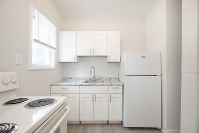 Welcome to 4915 Tillman Ave in Cleveland's Detroit-Shoreway! - photo 7