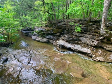 This spectacular lakefront gem near Shell Knob and Emerald Beach - photo 7