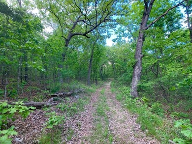 This spectacular lakefront gem near Shell Knob and Emerald Beach - photo 9