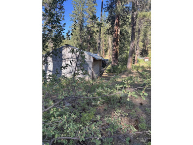 This stunning wooded property borders the Boise National Forest - photo 7