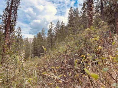 This stunning wooded property borders the Boise National Forest - photo 8
