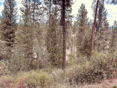 This stunning wooded property borders the Boise National Forest - photo 9
