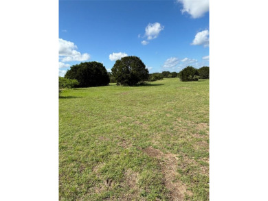 EXCEPTIONAL FIND 14+ ACRES, paved road frontage, 425 feet join - Lake Acreage For Sale in Whitney, Texas