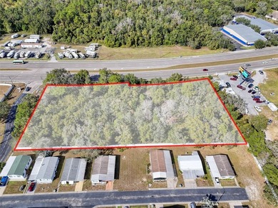 Large Commercial parcel with +-445 front feet on State Rd 52 - photo 3