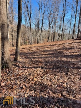 UNRESTRICTED LAKE LOT. This lot is at the back of the deep water - Lake Lot For Sale in Lavonia, Georgia